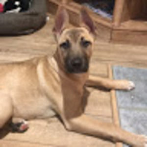 Meet your Posher, Nasir